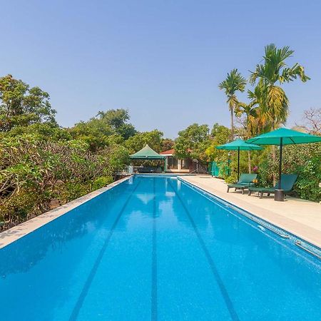 Stayvista'S Casa Palmera - Pet-Friendly Villa With Pool, Garden With Gazebo, And Indoor & Outdoor Games Алибаг Екстериор снимка