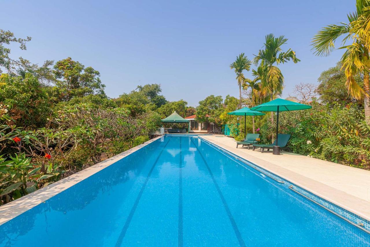 Stayvista'S Casa Palmera - Pet-Friendly Villa With Pool, Garden With Gazebo, And Indoor & Outdoor Games Алибаг Екстериор снимка